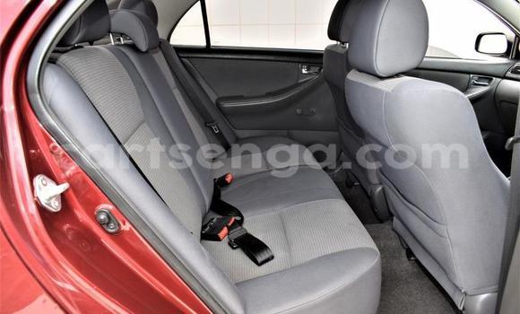 Nunua Ilio tumika Toyota Corolla Other Gari ndani ya Manzini nchini Manzini Nunua Ilio tumika Toyota Corolla Other Gari ndani ya Manzini nchini Manzini