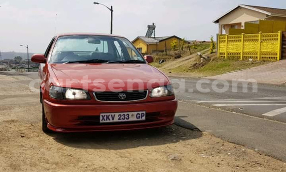Buy Used Toyota Corolla Red Car in Mbabane in Manzini Buy Used Toyota Corolla Red Car in Mbabane in Manzini