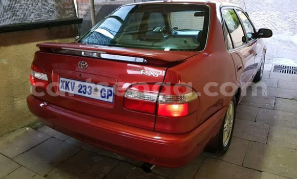 Buy Used Toyota Corolla Red Car in Mbabane in Manzini Buy Used Toyota Corolla Red Car in Mbabane in Manzini