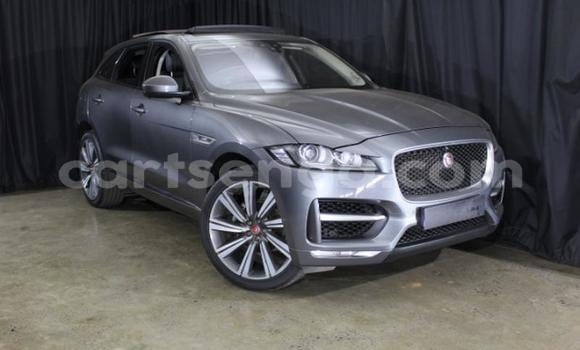 Buy Used Jaguar F-Pace Other Car in Manzini in Manzini