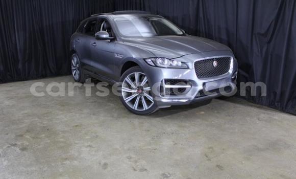 Buy Used Jaguar F-Pace Other Car in Manzini in Manzini Buy Used Jaguar F-Pace Other Car in Manzini in Manzini