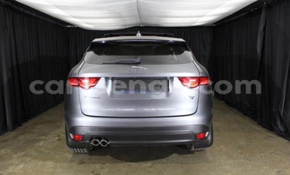 Buy Used Jaguar F-Pace Other Car in Manzini in Manzini Buy Used Jaguar F-Pace Other Car in Manzini in Manzini