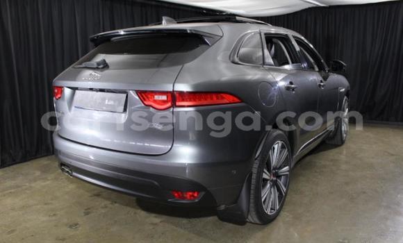 Buy Used Jaguar F-Pace Other Car in Manzini in Manzini Buy Used Jaguar F-Pace Other Car in Manzini in Manzini