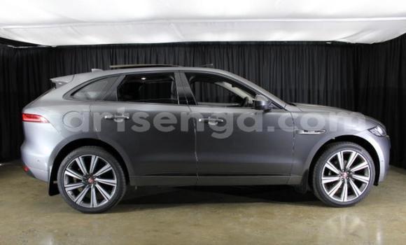 Buy Used Jaguar F-Pace Other Car in Manzini in Manzini Buy Used Jaguar F-Pace Other Car in Manzini in Manzini