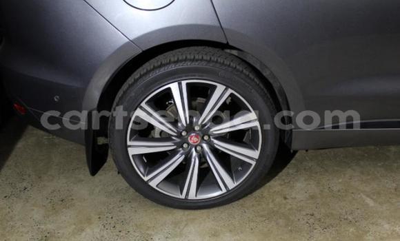 Buy Used Jaguar F-Pace Other Car in Manzini in Manzini Buy Used Jaguar F-Pace Other Car in Manzini in Manzini