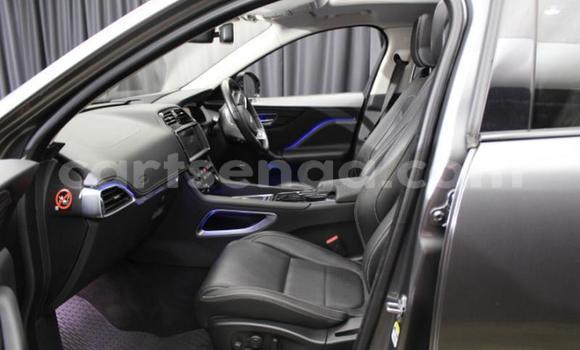 Buy Used Jaguar F-Pace Other Car in Manzini in Manzini Buy Used Jaguar F-Pace Other Car in Manzini in Manzini