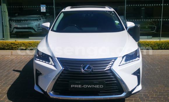 Buy Used Lexus RX White Car in Manzini in Manzini Buy Used Lexus RX White Car in Manzini in Manzini