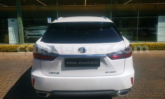 Buy Used Lexus RX White Car in Manzini in Manzini Buy Used Lexus RX White Car in Manzini in Manzini