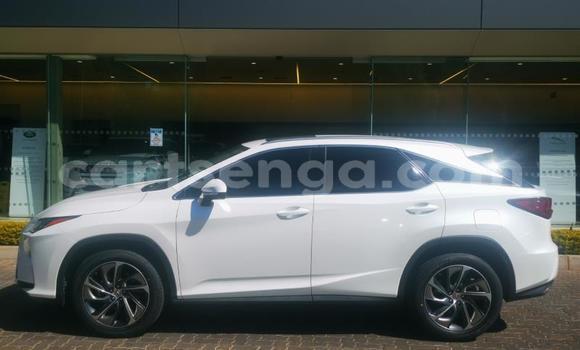 Buy Used Lexus RX White Car in Manzini in Manzini Buy Used Lexus RX White Car in Manzini in Manzini