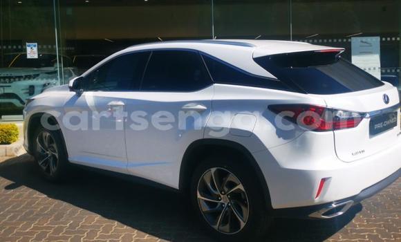 Buy Used Lexus RX White Car in Manzini in Manzini Buy Used Lexus RX White Car in Manzini in Manzini