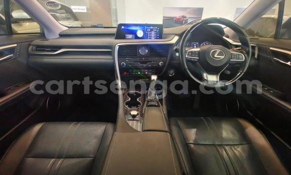 Buy Used Lexus RX White Car in Manzini in Manzini Buy Used Lexus RX White Car in Manzini in Manzini