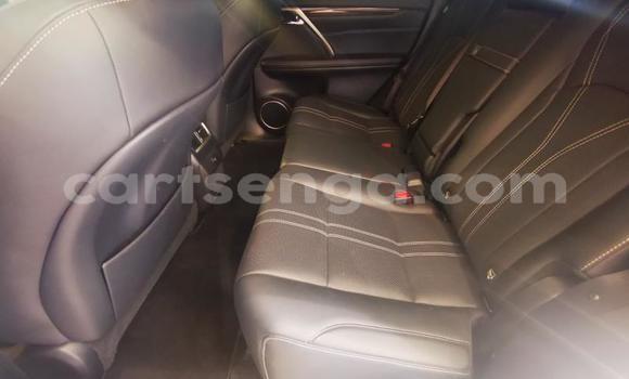 Buy Used Lexus RX White Car in Manzini in Manzini Buy Used Lexus RX White Car in Manzini in Manzini