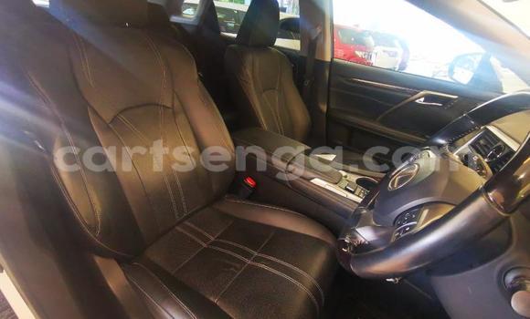Buy Used Lexus RX White Car in Manzini in Manzini Buy Used Lexus RX White Car in Manzini in Manzini