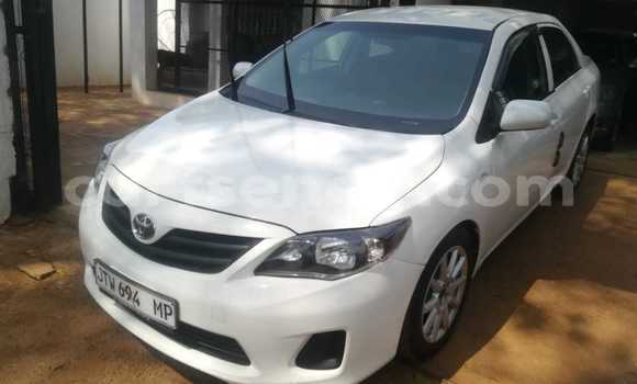 Acheter Occasion Voiture Toyota Corolla Blanc à Ezulwini, Hhohho
