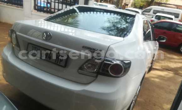 Nunua Ilio tumika Toyota Corolla White Gari ndani ya Ezulwini nchini Hhohho Nunua Ilio tumika Toyota Corolla White Gari ndani ya Ezulwini nchini Hhohho