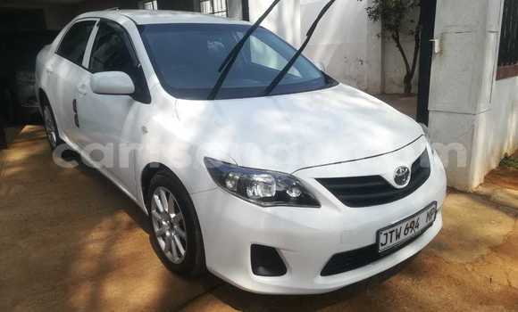 Nunua Ilio tumika Toyota Corolla White Gari ndani ya Ezulwini nchini Hhohho Nunua Ilio tumika Toyota Corolla White Gari ndani ya Ezulwini nchini Hhohho