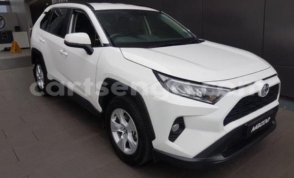 Buy Used Toyota RAV4 White Car in Ezulwini in Hhohho Buy Used Toyota RAV4 White Car in Ezulwini in Hhohho