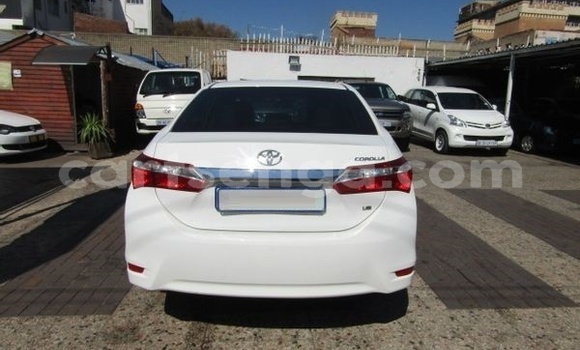 Nunua Ilio tumika Toyota Corolla White Gari ndani ya Hluti nchini Wilaya ya Shiselweni Nunua Ilio tumika Toyota Corolla White Gari ndani ya Hluti nchini Wilaya ya Shiselweni