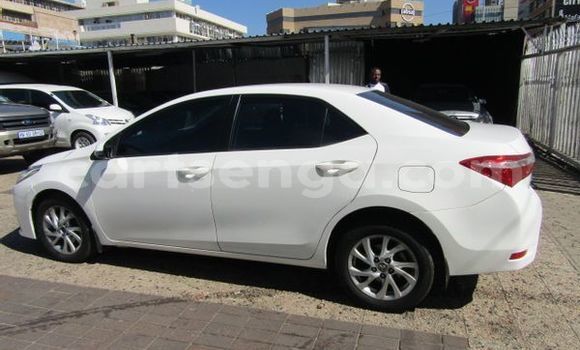 Nunua Ilio tumika Toyota Corolla White Gari ndani ya Hluti nchini Wilaya ya Shiselweni Nunua Ilio tumika Toyota Corolla White Gari ndani ya Hluti nchini Wilaya ya Shiselweni