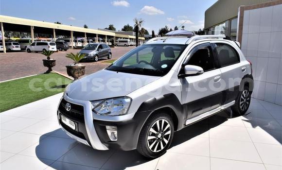 Buy Used Toyota Etios Silver Car in Hlatikulu in Shiselweni District Buy Used Toyota Etios Silver Car in Hlatikulu in Shiselweni District