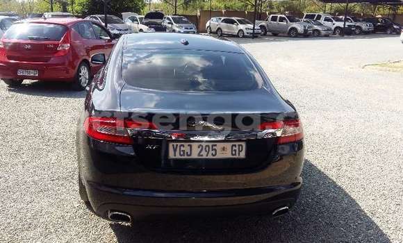 Buy Used Jaguar XF Black Car in Manzini in Manzini Buy Used Jaguar XF Black Car in Manzini in Manzini