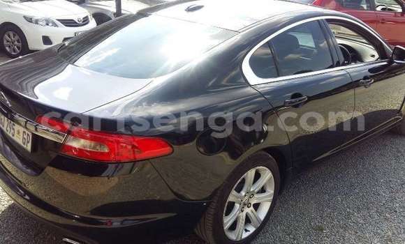 Buy Used Jaguar XF Black Car in Manzini in Manzini Buy Used Jaguar XF Black Car in Manzini in Manzini