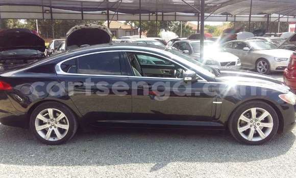 Buy Used Jaguar XF Black Car in Manzini in Manzini Buy Used Jaguar XF Black Car in Manzini in Manzini