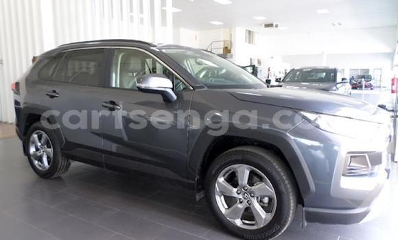 Buy Used Toyota RAV4 Other Car in Ezulwini in Hhohho