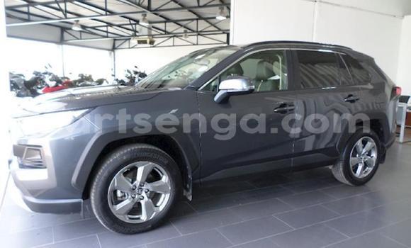 Acheter Occasion Voiture Toyota RAV4 Autre à Ezulwini, Hhohho Acheter Occasion Voiture Toyota RAV4 Autre à Ezulwini, Hhohho