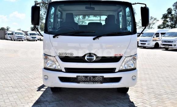 Buy Used Hino 300 Series White Truck in Bulembu in Hhohho