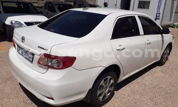 Nunua Ilio tumika Toyota Corolla White Gari ndani ya Big Bend nchini Wilaya ya Lubombo Nunua Ilio tumika Toyota Corolla White Gari ndani ya Big Bend nchini Wilaya ya Lubombo