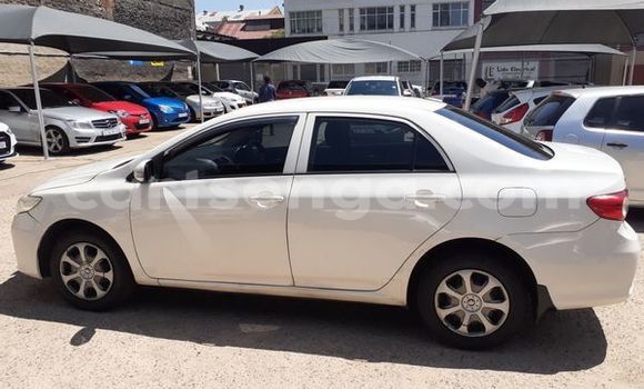 Nunua Ilio tumika Toyota Corolla White Gari ndani ya Big Bend nchini Wilaya ya Lubombo Nunua Ilio tumika Toyota Corolla White Gari ndani ya Big Bend nchini Wilaya ya Lubombo