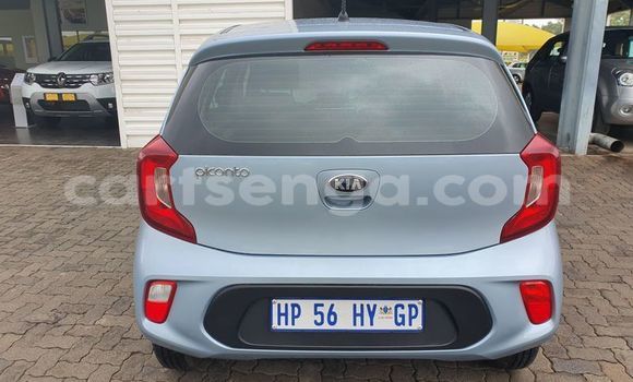 Nunua Ilio tumika Kia Picanto Blue Gari ndani ya Bulembu nchini Hhohho Nunua Ilio tumika Kia Picanto Blue Gari ndani ya Bulembu nchini Hhohho