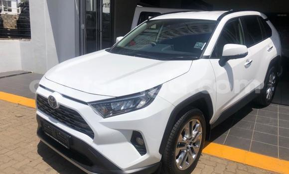 Buy Used Toyota RAV4 White Car in Manzini in Manzini Buy Used Toyota RAV4 White Car in Manzini in Manzini