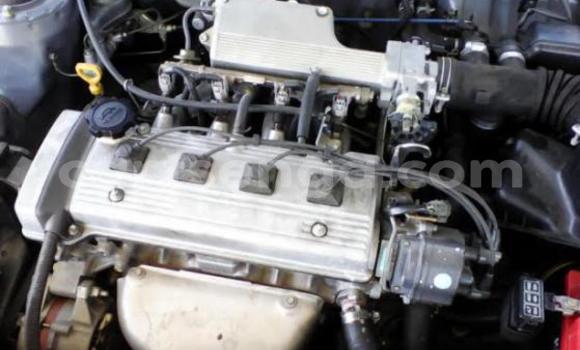 Acheter Occasion Voiture Toyota Tacoma Gris à Ezulwini, Hhohho Acheter Occasion Voiture Toyota Tacoma Gris à Ezulwini, Hhohho