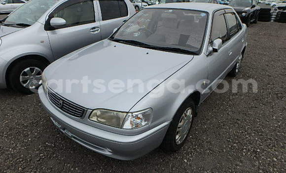 Acheter Occasion Voiture Toyota Corolla Gris à Big Bend, Lubombo Acheter Occasion Voiture Toyota Corolla Gris à Big Bend, Lubombo