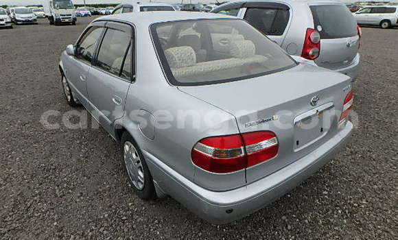 Acheter Occasion Voiture Toyota Corolla Gris à Big Bend, Lubombo Acheter Occasion Voiture Toyota Corolla Gris à Big Bend, Lubombo