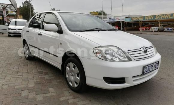 Nunua Ilio tumika Toyota Corolla White Gari ndani ya Big Bend nchini Wilaya ya Lubombo