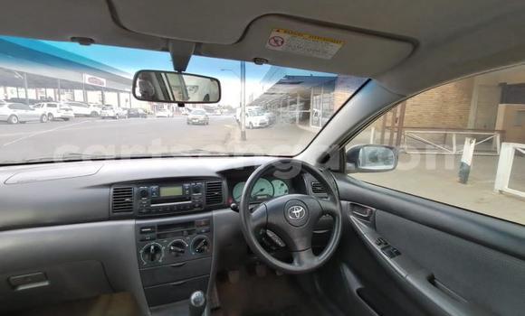 Acheter Occasion Voiture Toyota Corolla Blanc à Big Bend, Lubombo District Acheter Occasion Voiture Toyota Corolla Blanc à Big Bend, Lubombo District