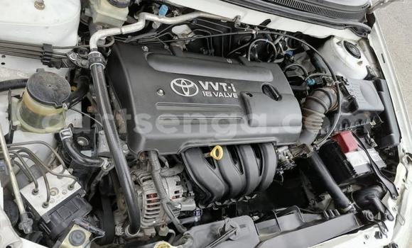 Acheter Occasion Voiture Toyota Corolla Blanc à Big Bend, Lubombo District Acheter Occasion Voiture Toyota Corolla Blanc à Big Bend, Lubombo District