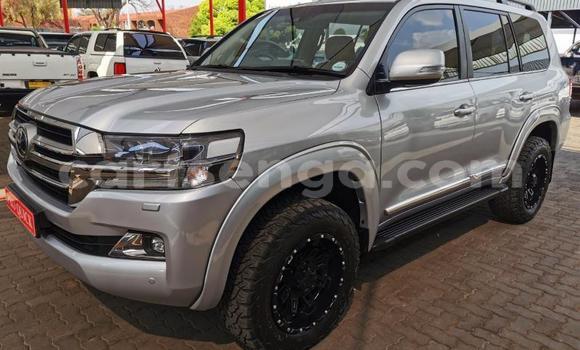 Buy Used Toyota Land Cruiser Prado Silver Car in Big Bend in Lubombo Buy Used Toyota Land Cruiser Prado Silver Car in Big Bend in Lubombo