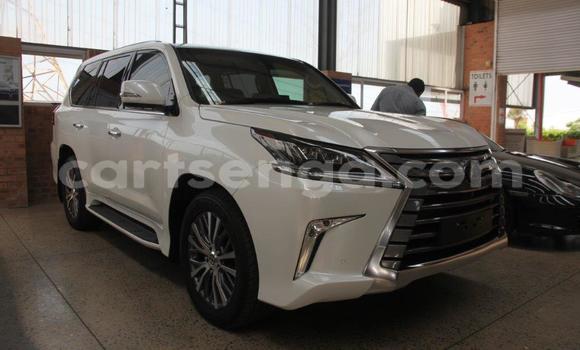Acheter Occasion Voiture Lexus LX 570 Blanc à Tshaneni, Lubombo Acheter Occasion Voiture Lexus LX 570 Blanc à Tshaneni, Lubombo