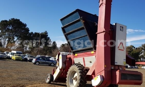 Acheter Occasion Utilitaire Ricomag BW200 Rouge à Lobamba, Manzini Acheter Occasion Utilitaire Ricomag BW200 Rouge à Lobamba, Manzini