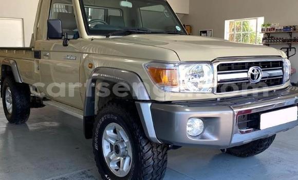 Nunua Ilio tumika Toyota Land Cruiser Brown Gari ndani ya Manzini nchini Manzini