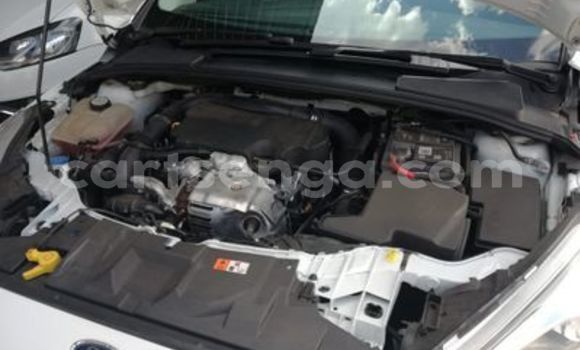 Buy Used Ford Focus White Car in Mbabane in Manzini Buy Used Ford Focus White Car in Mbabane in Manzini