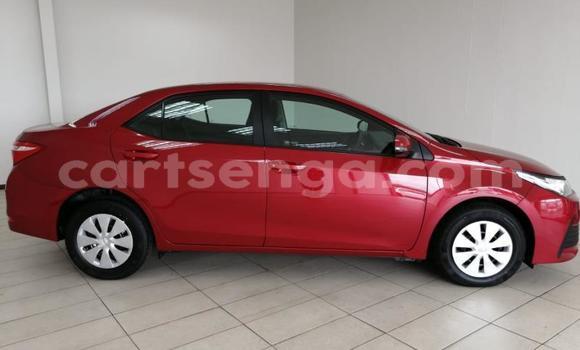 Buy Used Toyota Corolla Red Car in Mbabane in Manzini Buy Used Toyota Corolla Red Car in Mbabane in Manzini