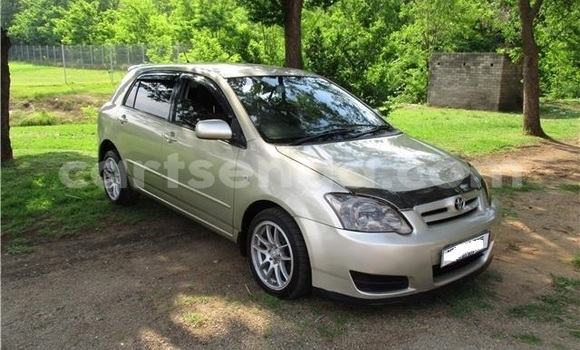 Acheter Occasion Voiture Toyota Runx Gris à Bhunya, Manzini Acheter Occasion Voiture Toyota Runx Gris à Bhunya, Manzini