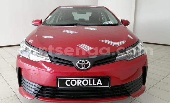 Buy Used Toyota Corolla Red Car in Mbabane in Manzini Buy Used Toyota Corolla Red Car in Mbabane in Manzini