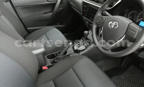 Buy Used Toyota Corolla Red Car in Mbabane in Manzini Buy Used Toyota Corolla Red Car in Mbabane in Manzini