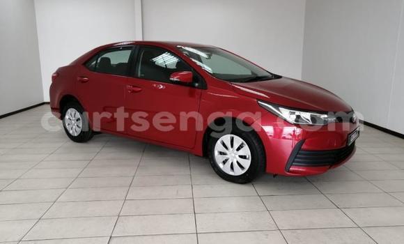 Buy Used Toyota Corolla Red Car in Mbabane in Manzini Buy Used Toyota Corolla Red Car in Mbabane in Manzini